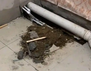 柞水卫生间漏水检测哪家好