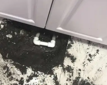 柞水查漏水哪家好