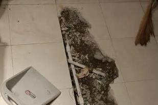 柞水卫生间漏水检测电话